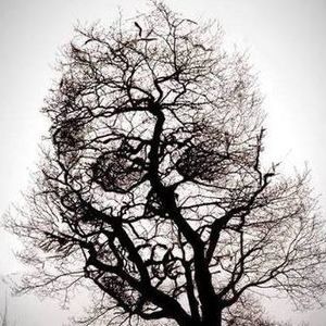 Meet your Posher, Keith